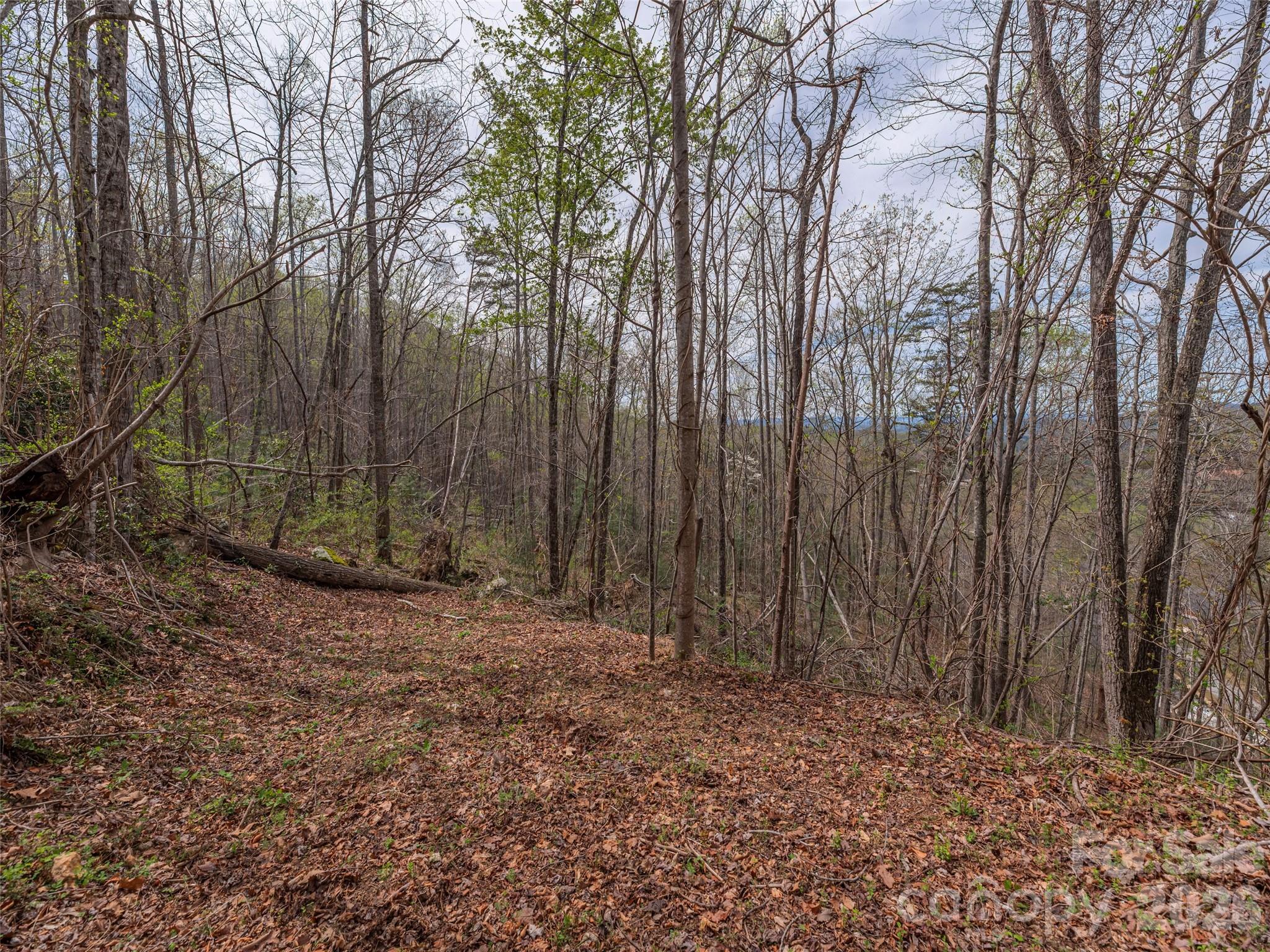 91 & 101 Cedar Mountain Road Asheville NC 28803