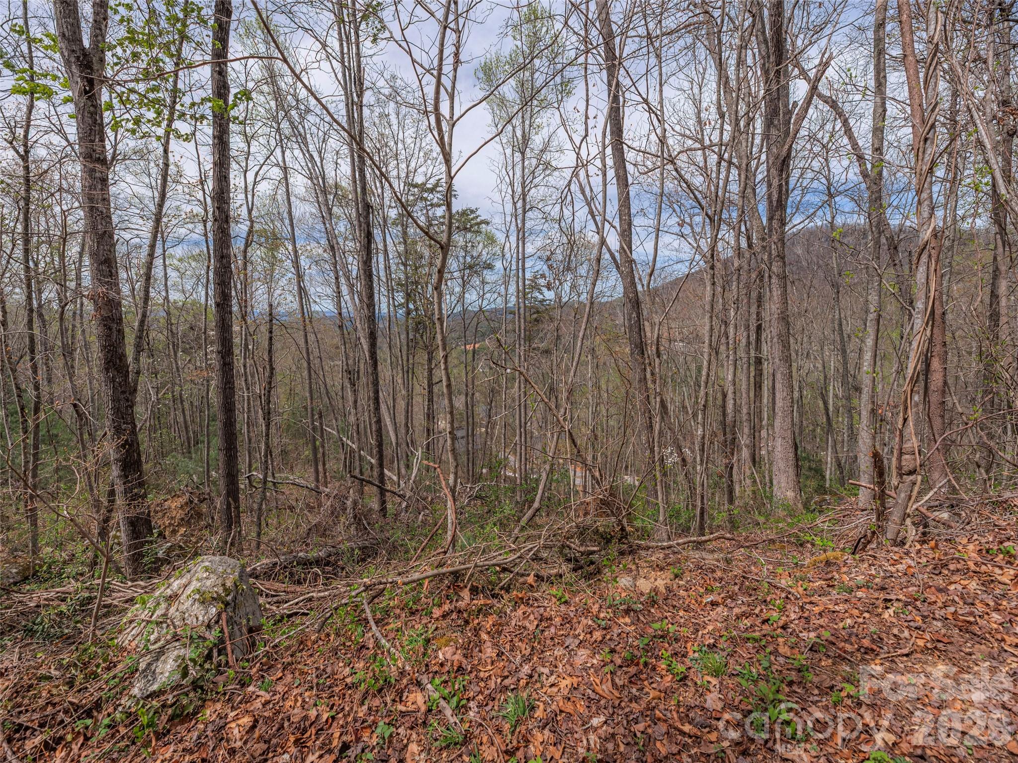 91 & 101 Cedar Mountain Road Asheville NC 28803