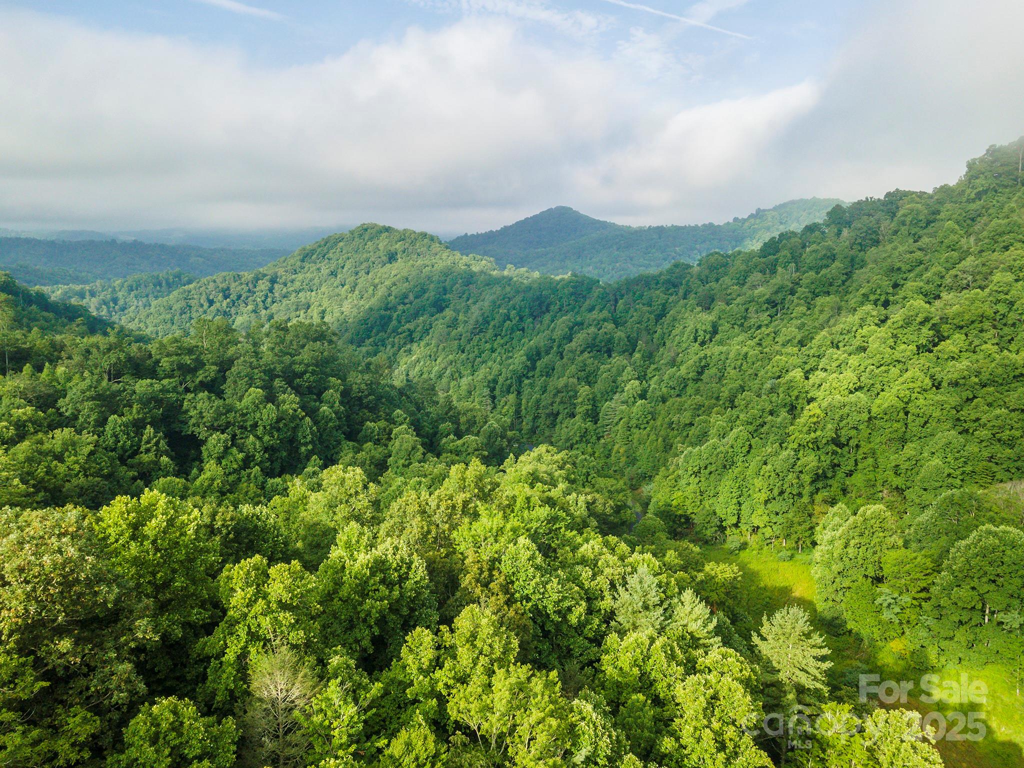 99999 Renfro Road Green Mountain NC 28740