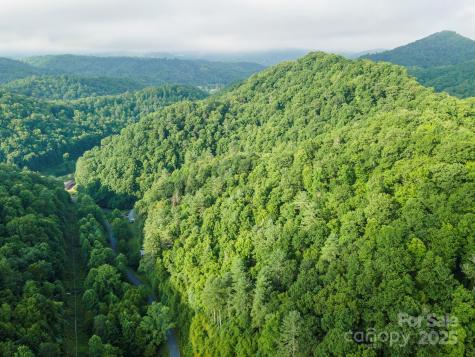 99999 Renfro Road Green Mountain NC 28740