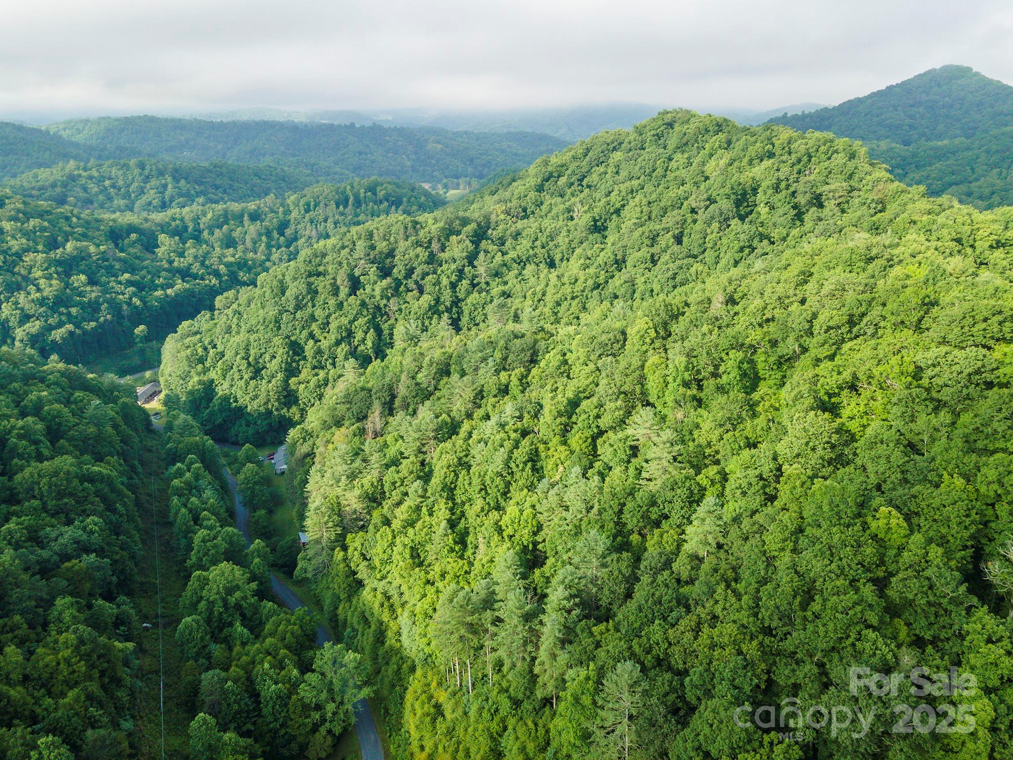 99999 Renfro Road Green Mountain NC 28740