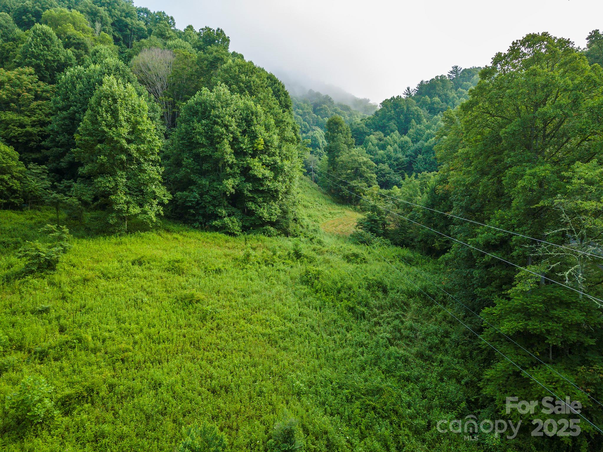 99999 Renfro Road Green Mountain NC 28740