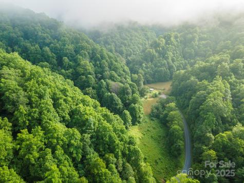 99999 Renfro Road Green Mountain NC 28740