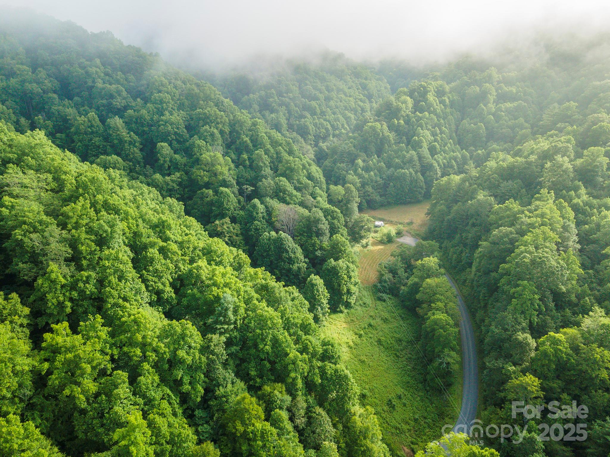 99999 Renfro Road Green Mountain NC 28740