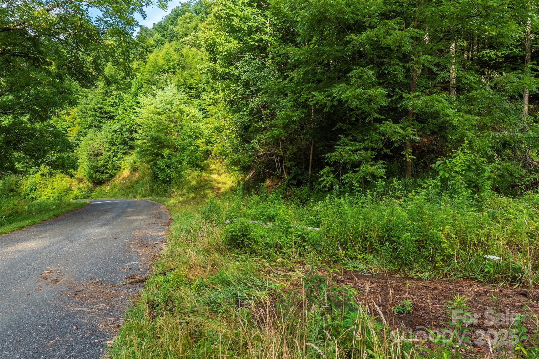 99999 Renfro Road Green Mountain NC 28740