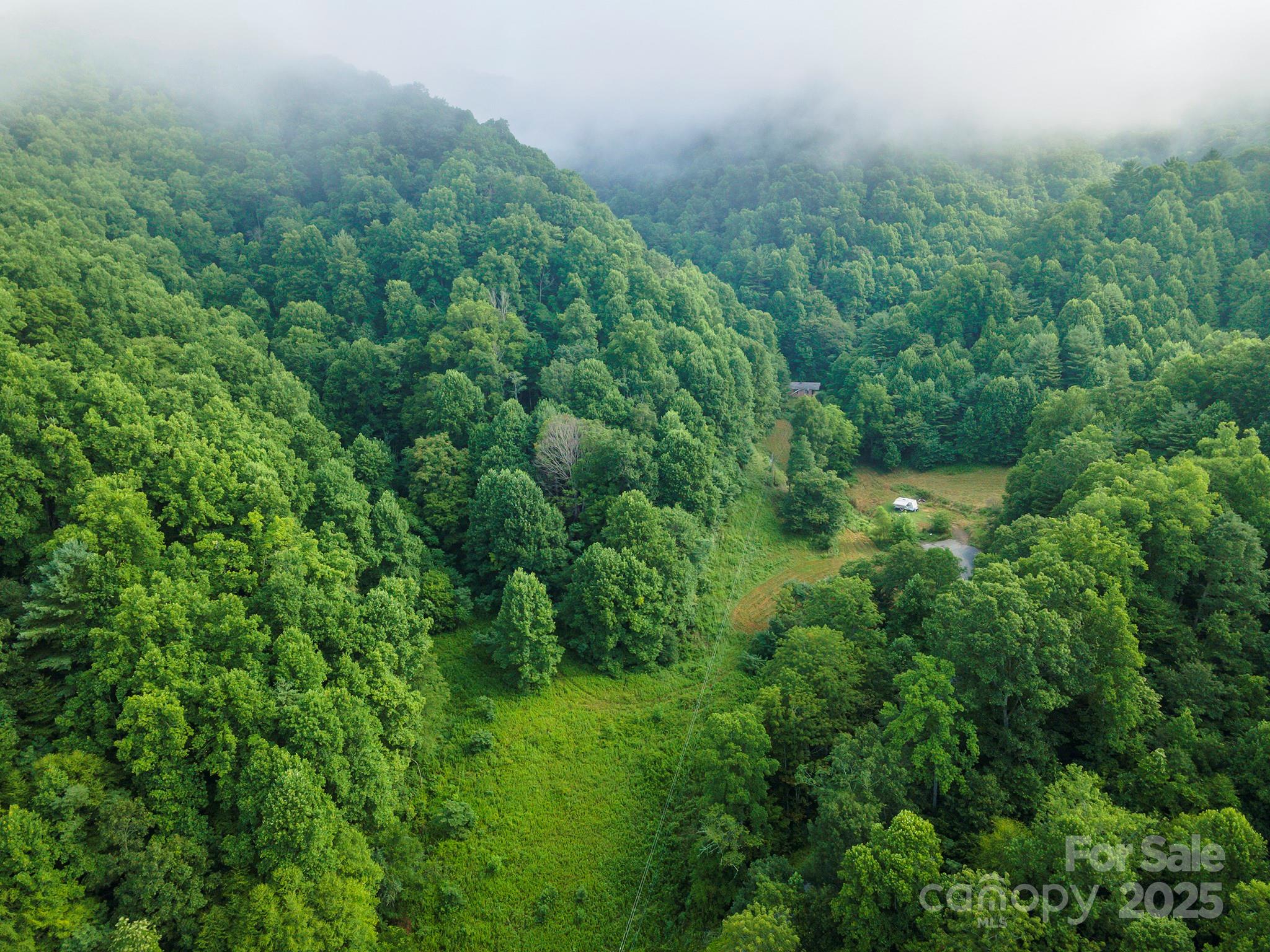 99999 Renfro Road Green Mountain NC 28740
