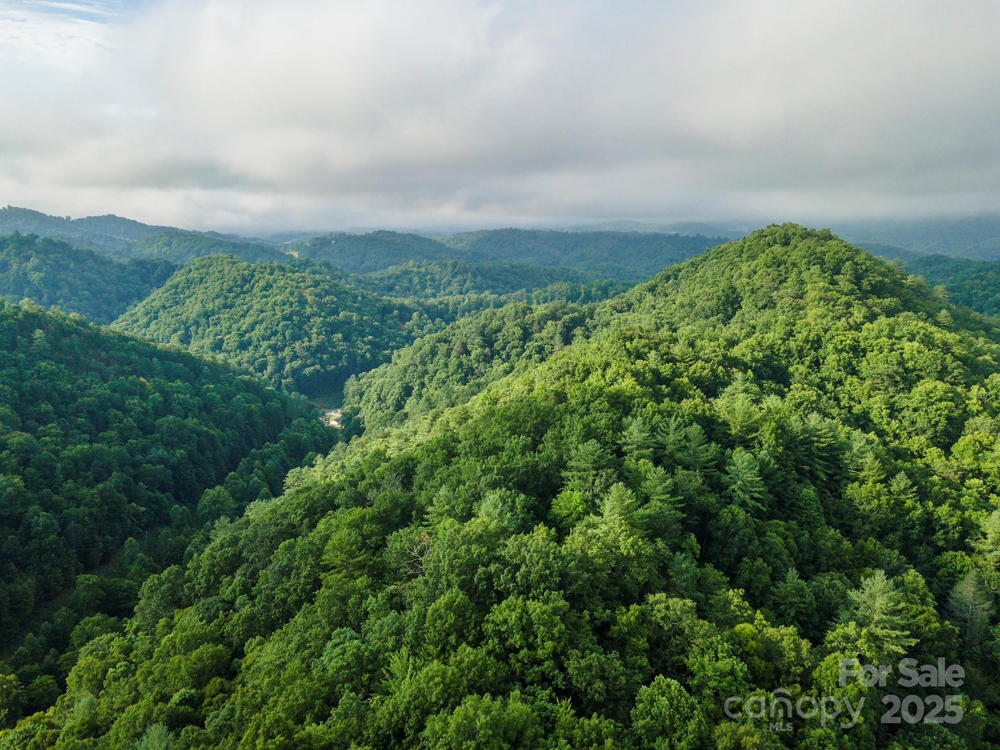 99999 Renfro Road Green Mountain NC 28740