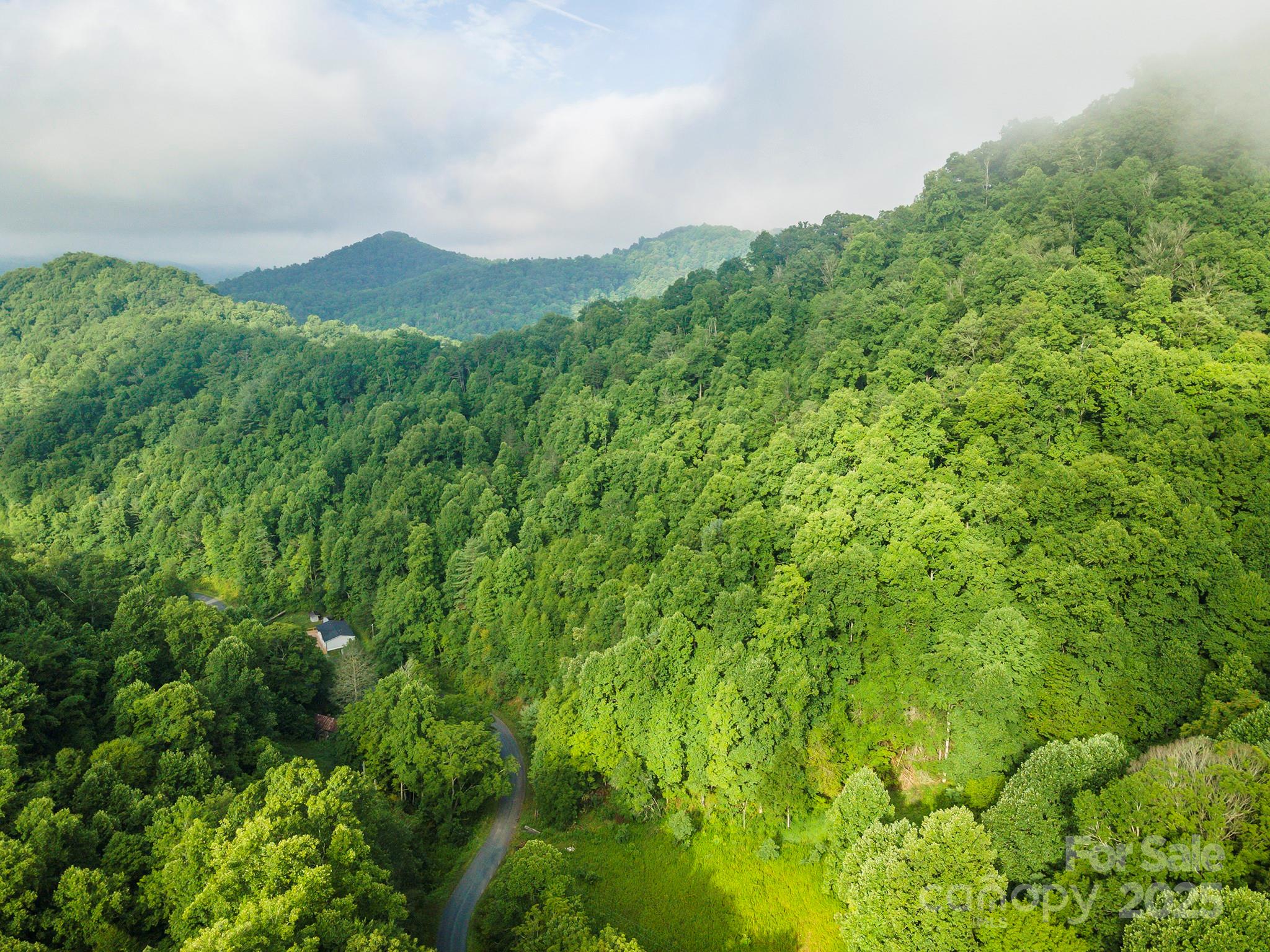 99999 Renfro Road Green Mountain NC 28740