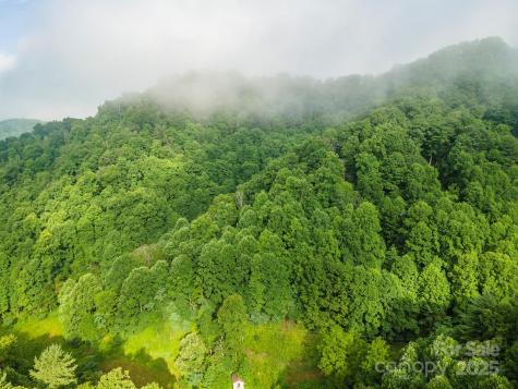 99999 Renfro Road Green Mountain NC 28740