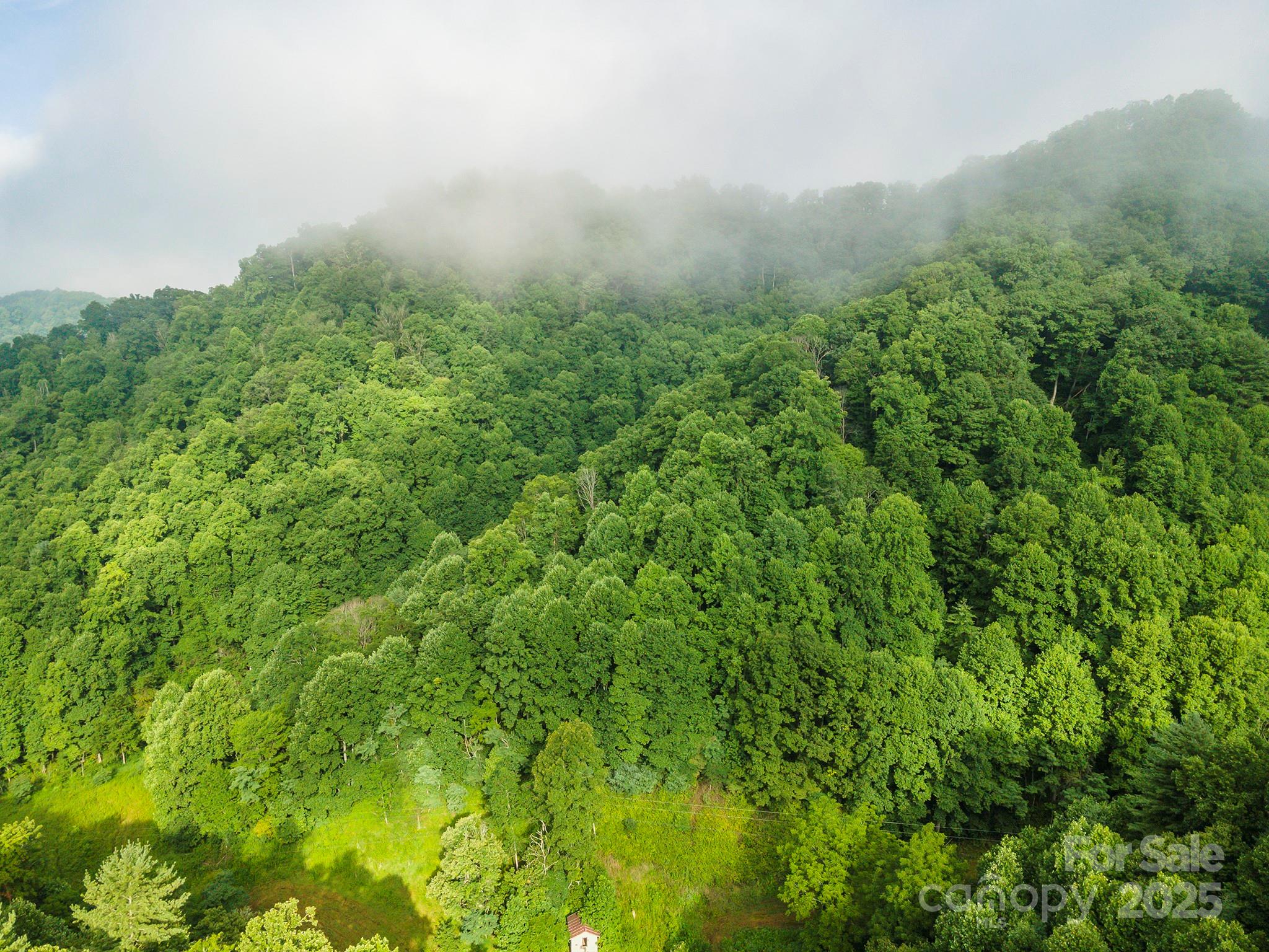 99999 Renfro Road Green Mountain NC 28740
