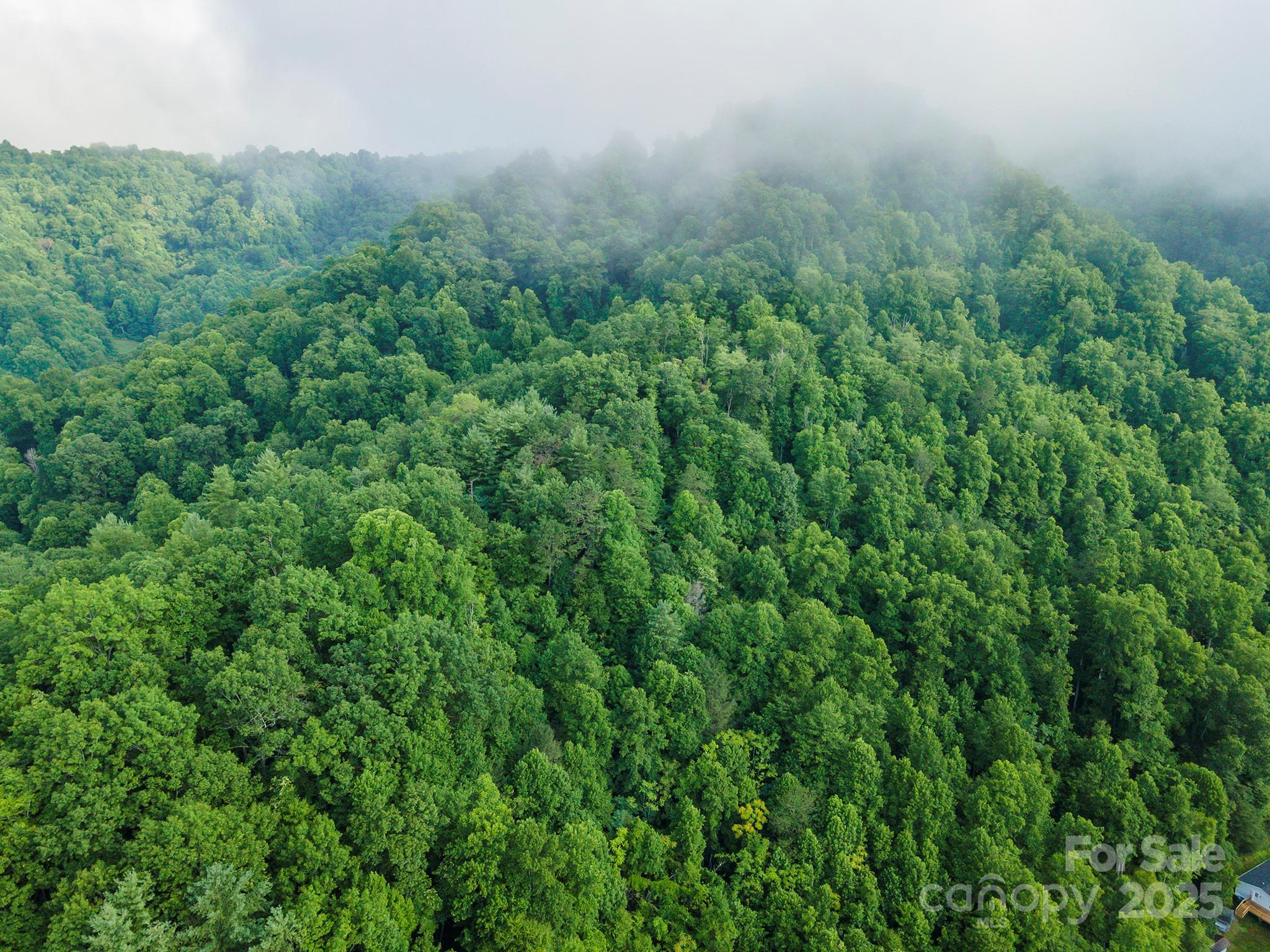 99999 Renfro Road Green Mountain NC 28740