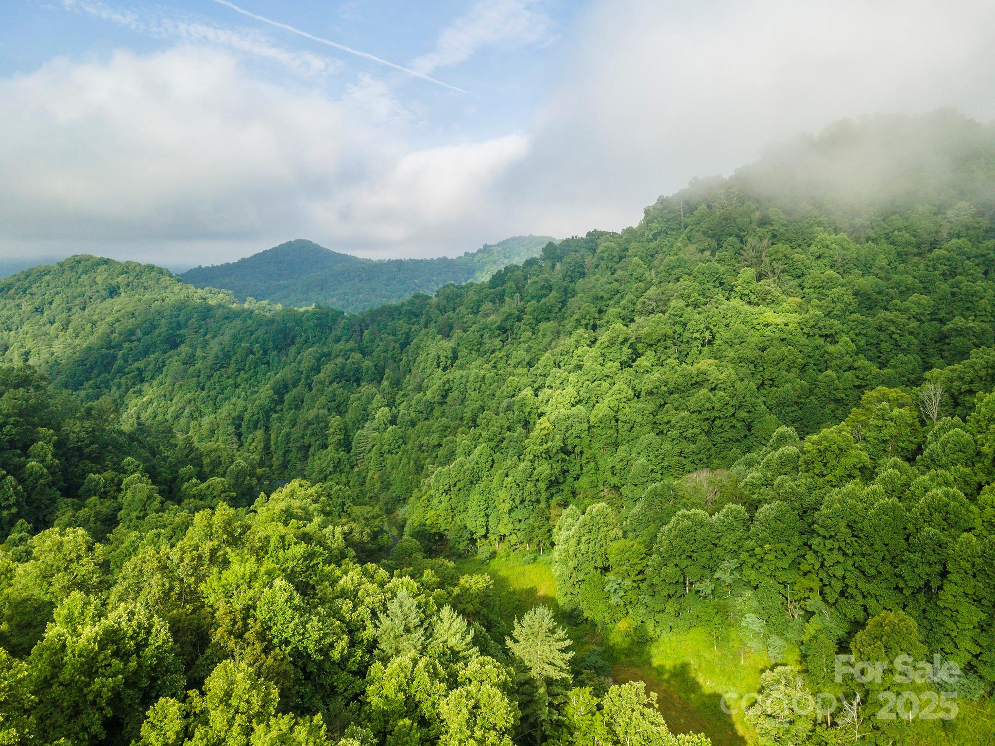 99999 Renfro Road Green Mountain NC 28740