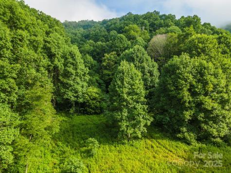 99999 Renfro Road Green Mountain NC 28740