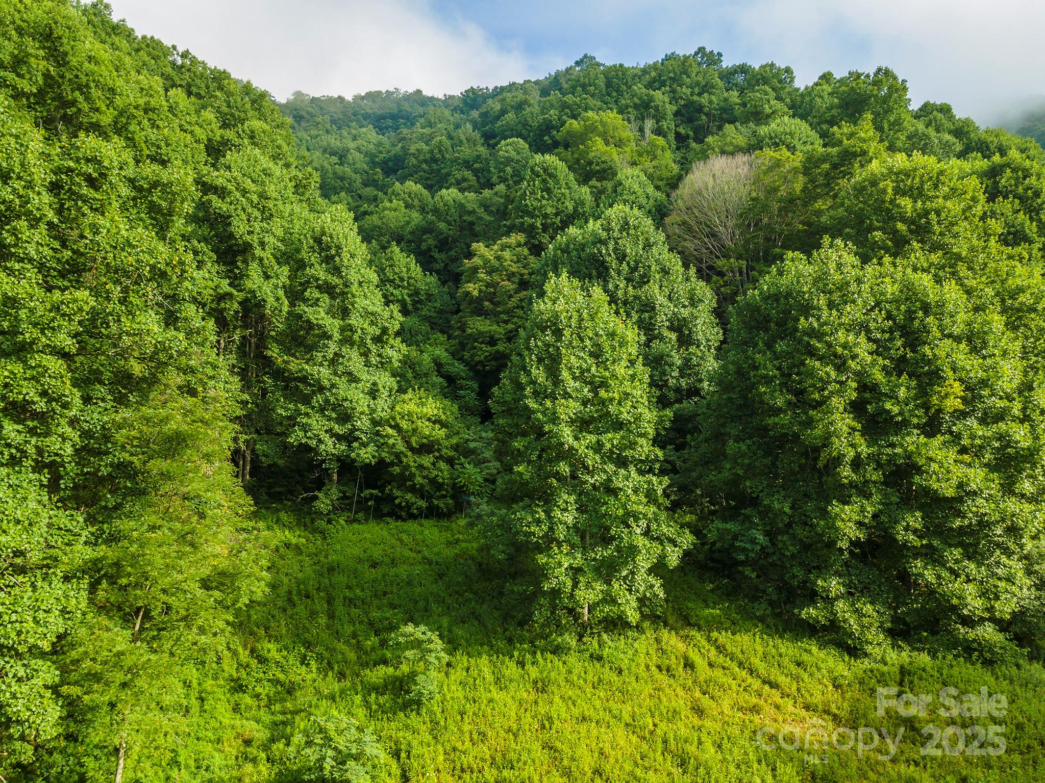 99999 Renfro Road Green Mountain NC 28740