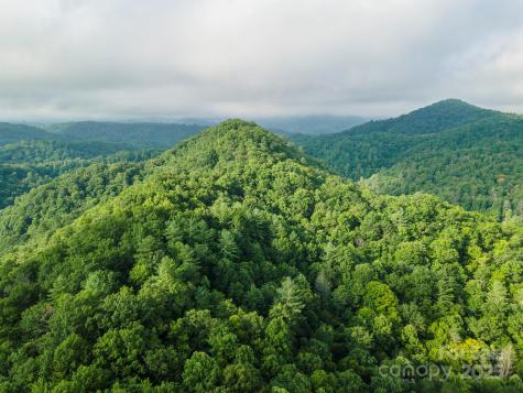 99999 Renfro Road Green Mountain NC 28740
