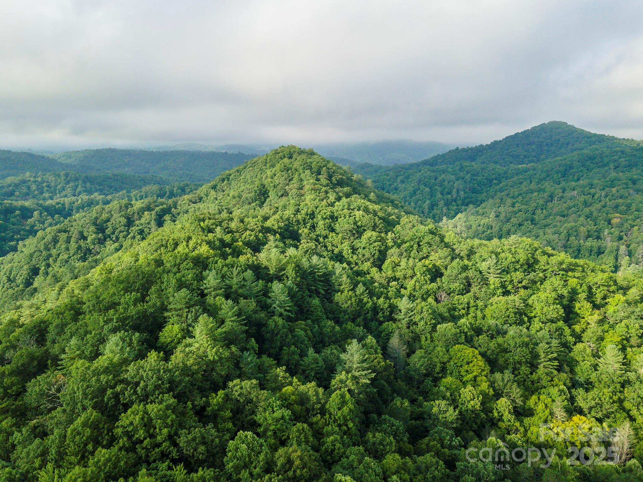 99999 Renfro Road Green Mountain NC 28740