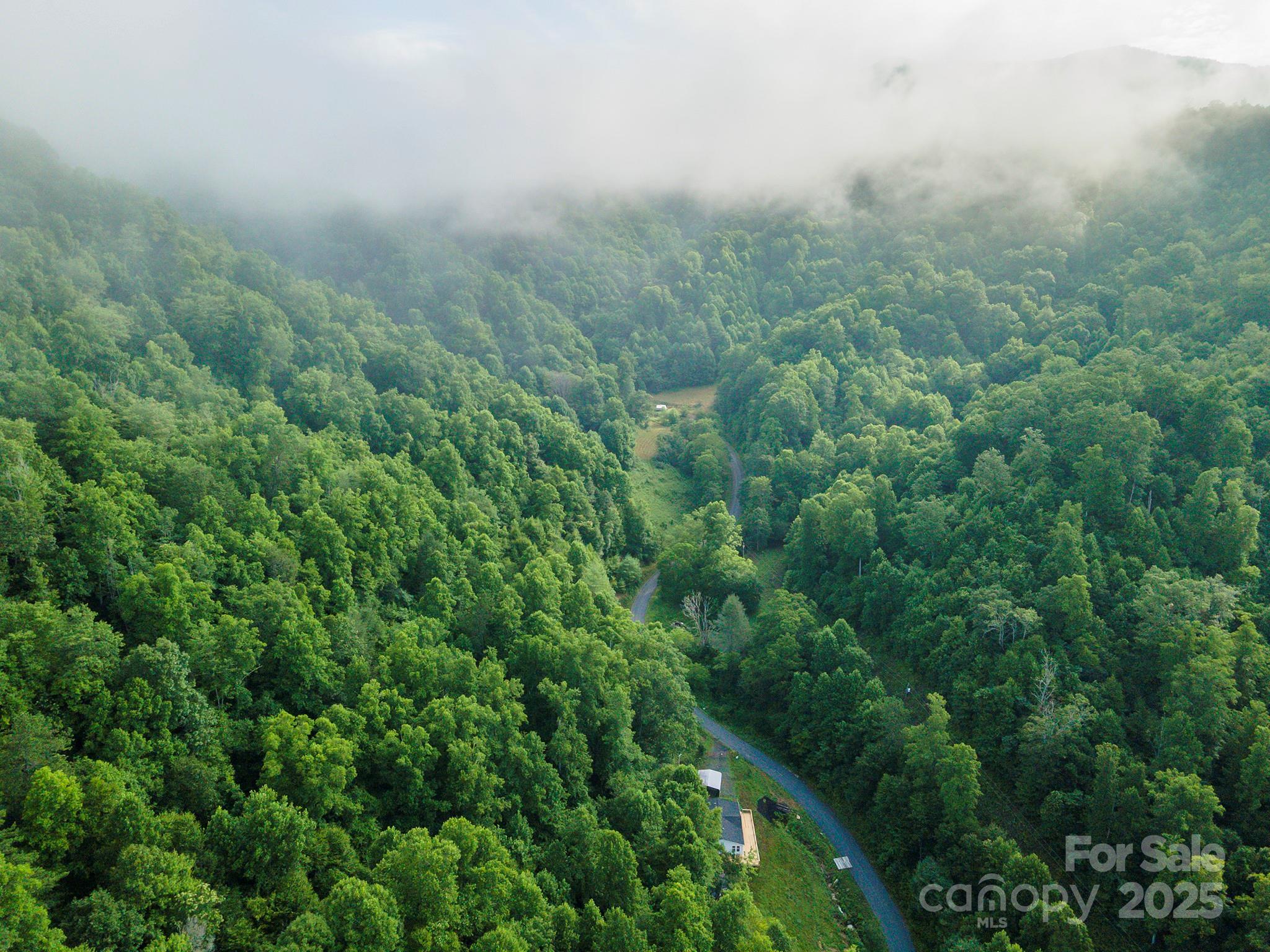 99999 Renfro Road Green Mountain NC 28740