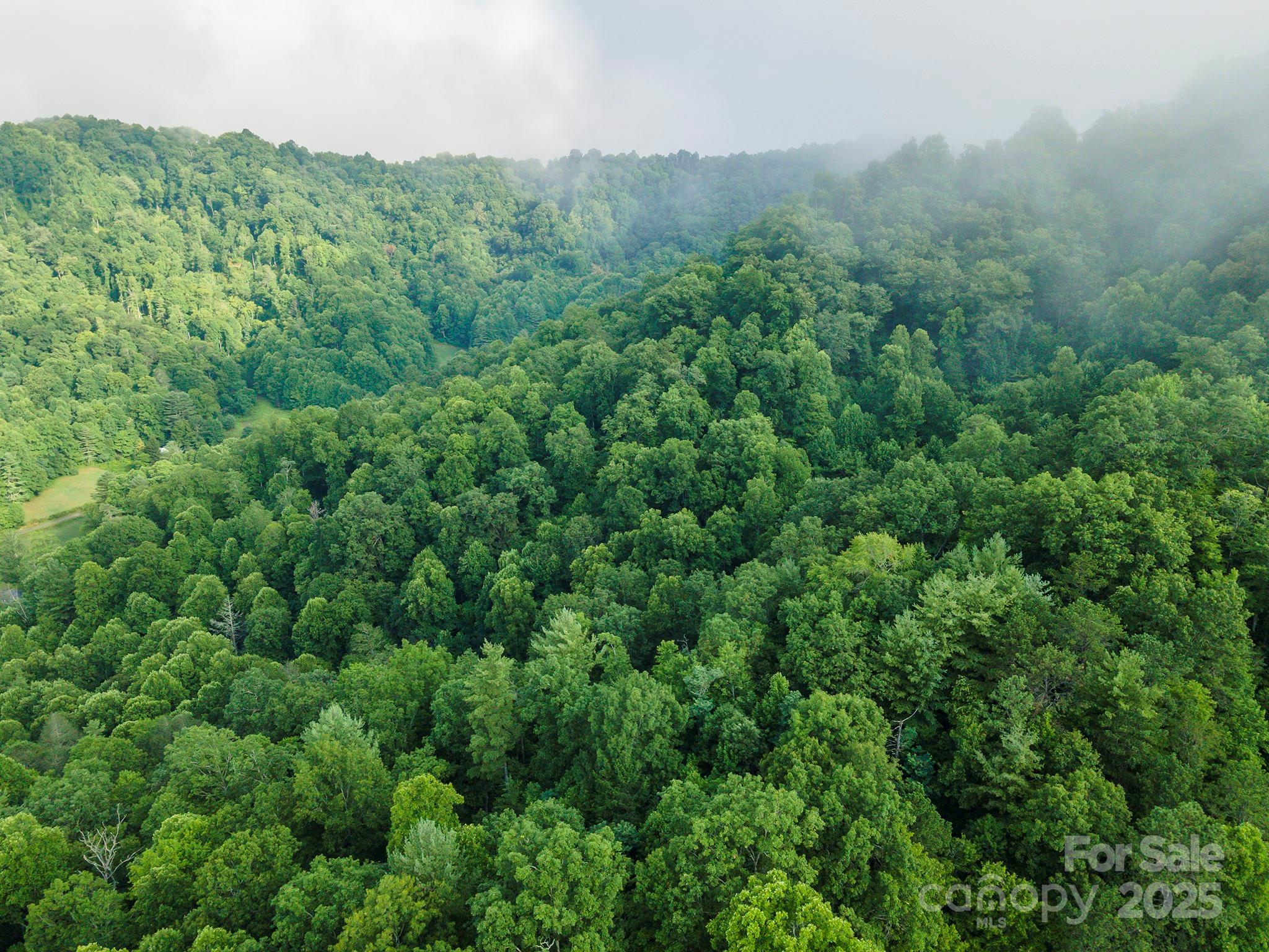 99999 Renfro Road Green Mountain NC 28740
