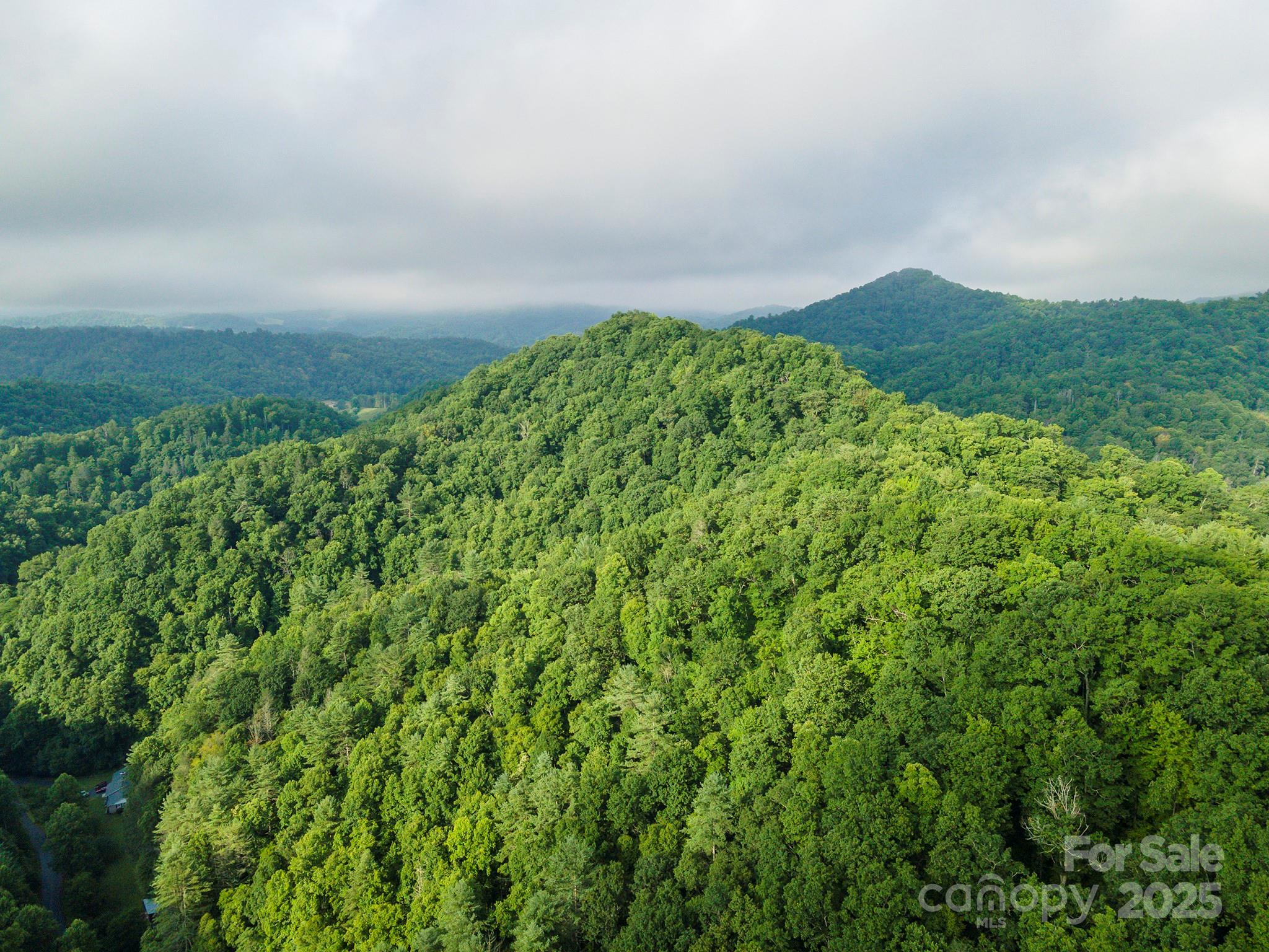 99999 Renfro Road Green Mountain NC 28740