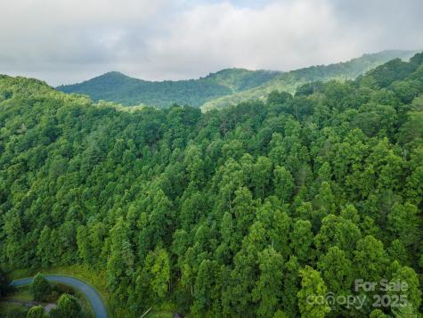 99999 Renfro Road Green Mountain NC 28740