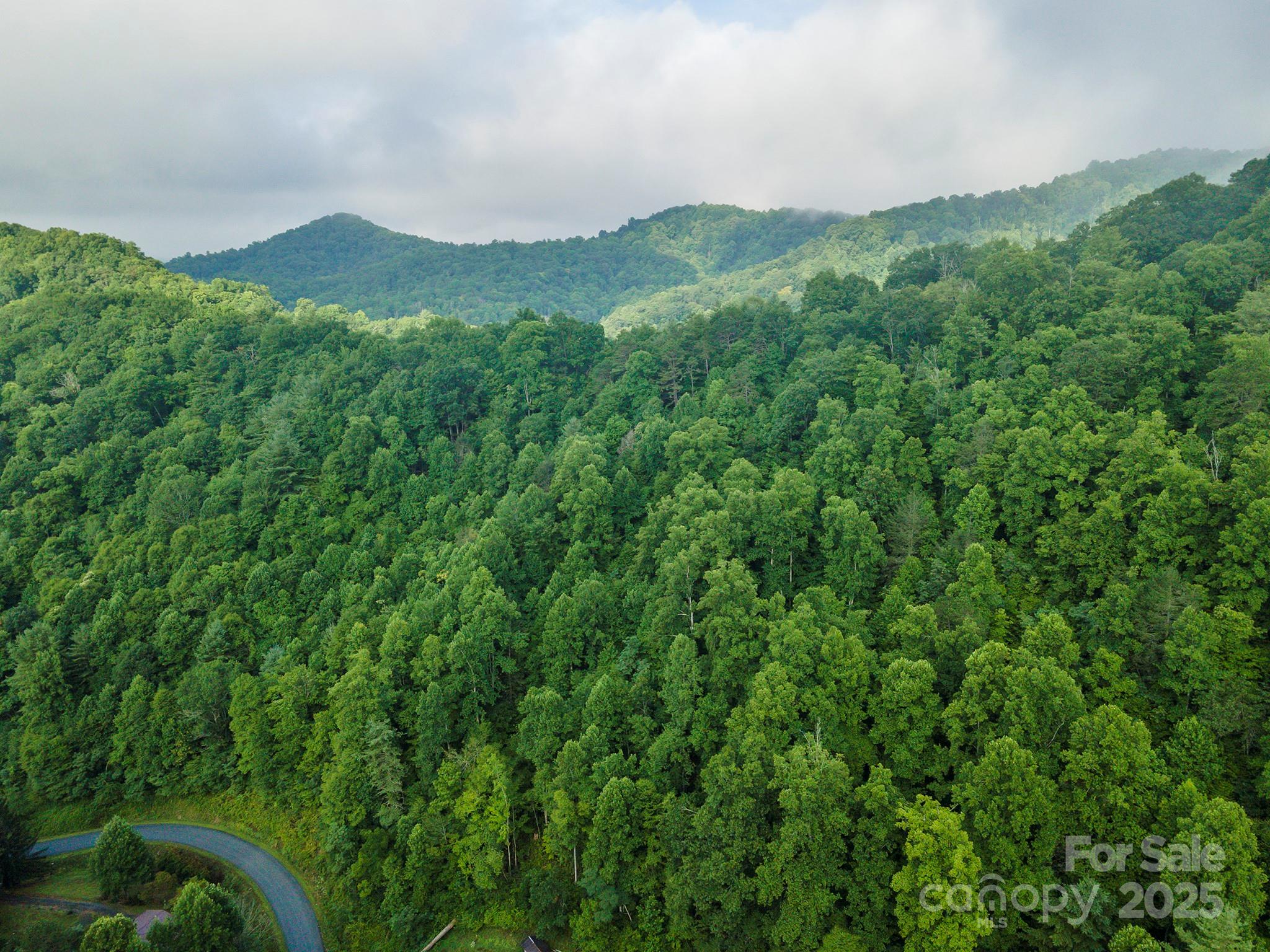 99999 Renfro Road Green Mountain NC 28740