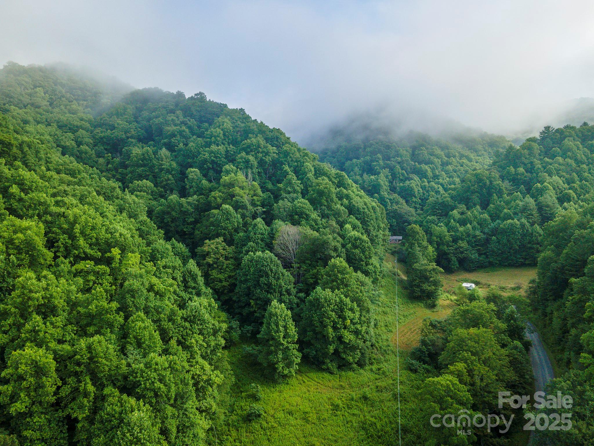 99999 Renfro Road Green Mountain NC 28740