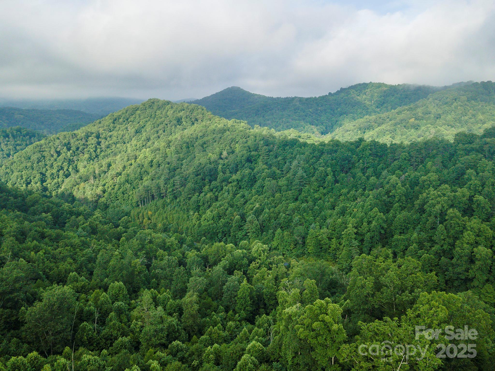 99999 Renfro Road Green Mountain NC 28740