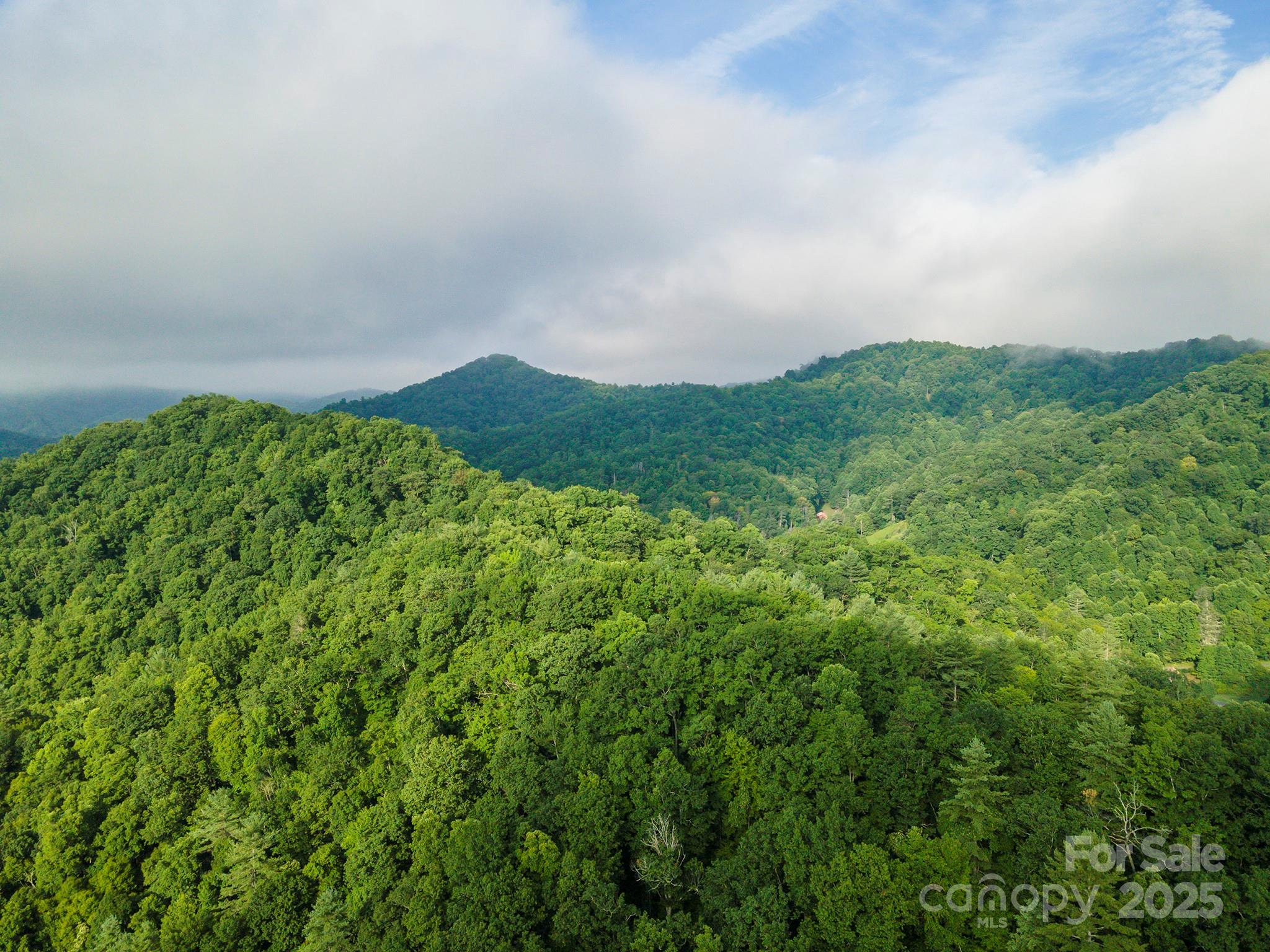 99999 Renfro Road Green Mountain NC 28740