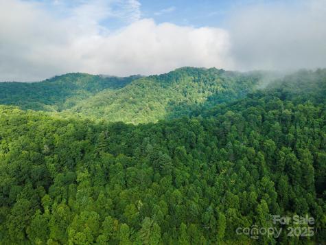 99999 Renfro Road Green Mountain NC 28740