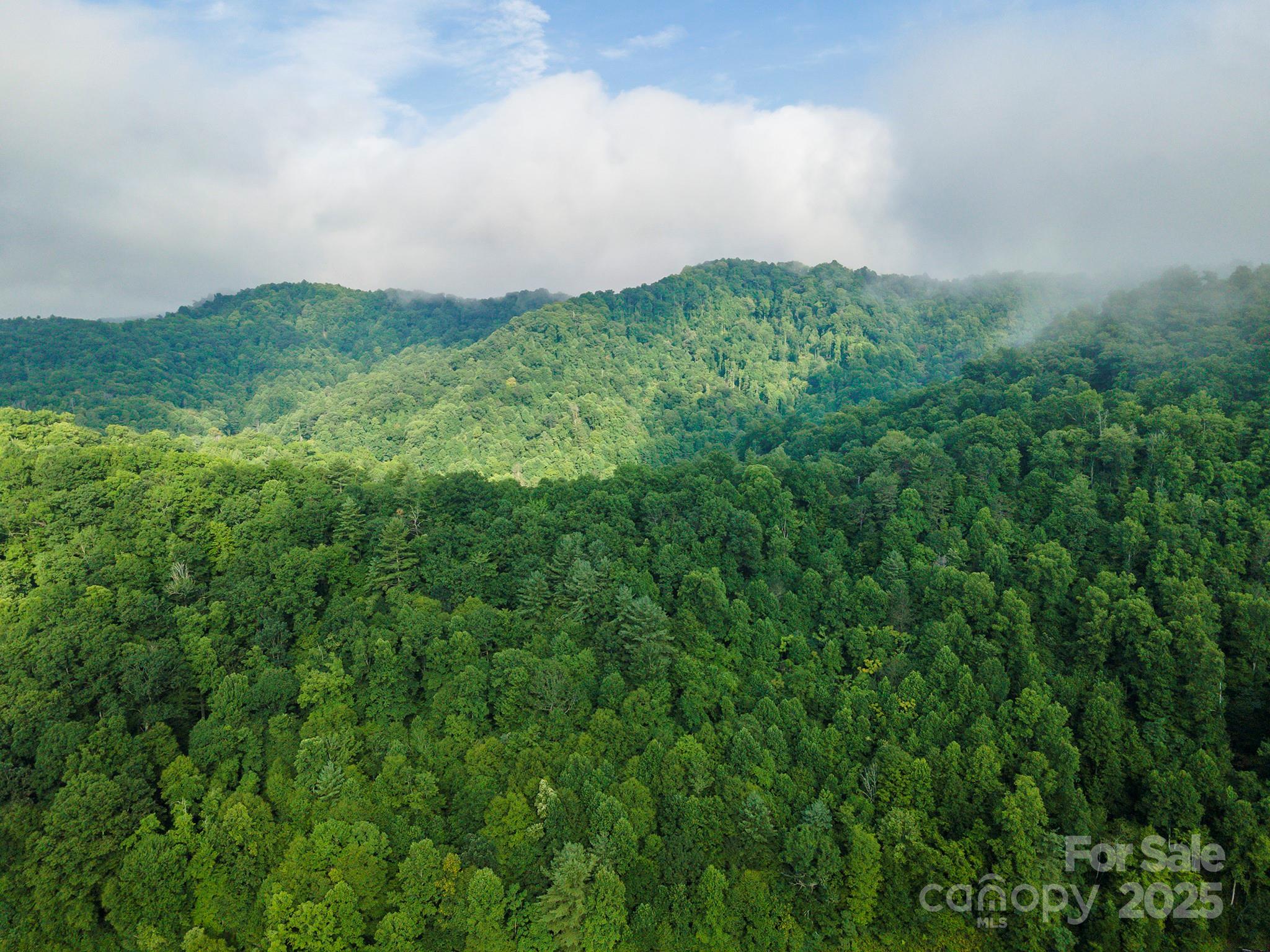 99999 Renfro Road Green Mountain NC 28740