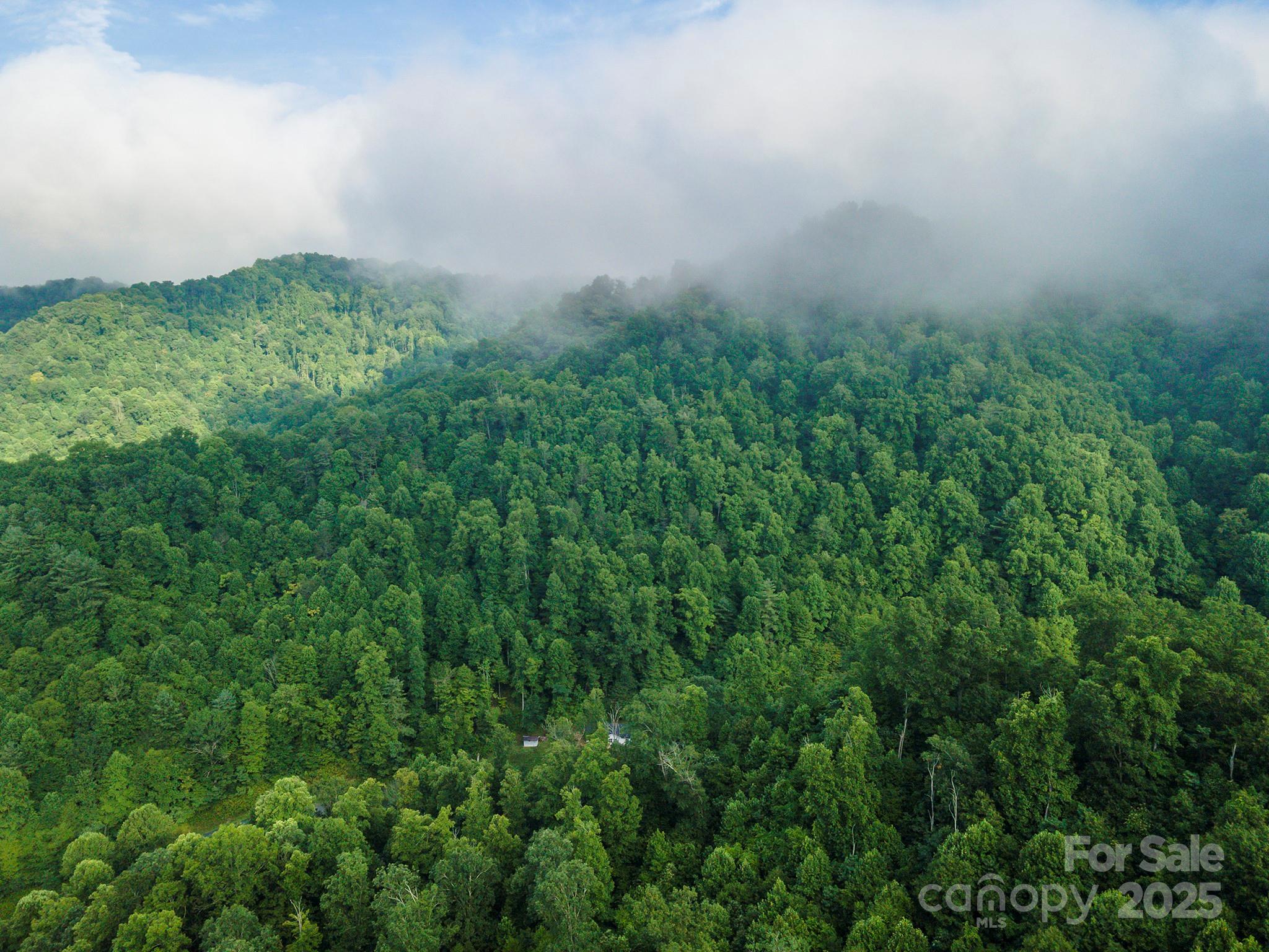 99999 Renfro Road Green Mountain NC 28740