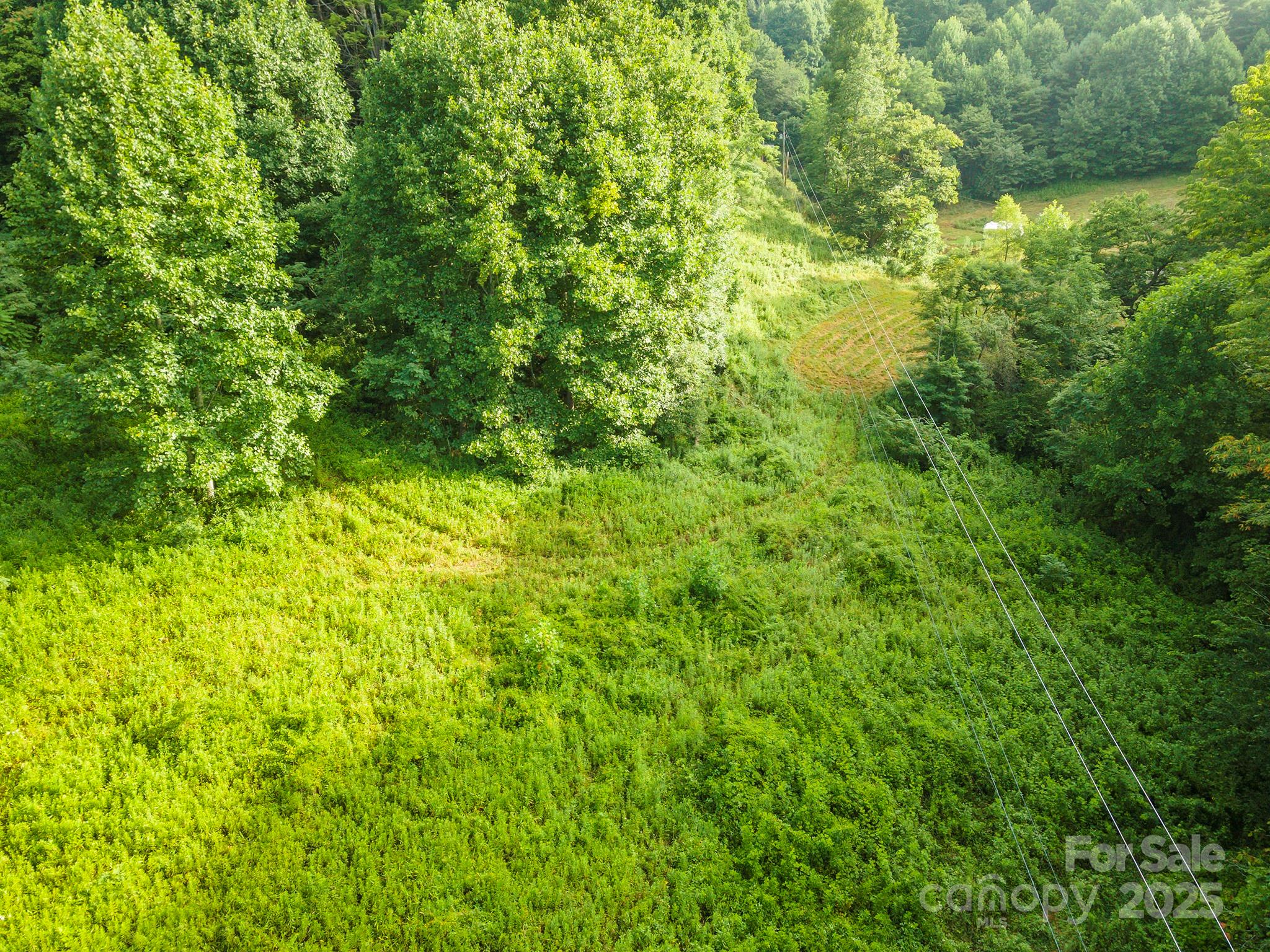 99999 Renfro Road Green Mountain NC 28740