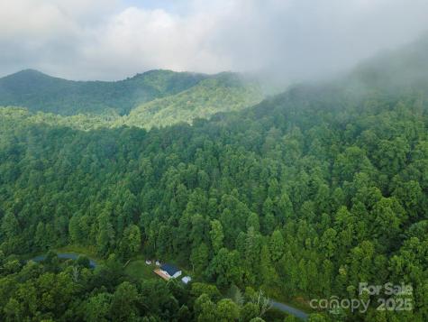 99999 Renfro Road Green Mountain NC 28740