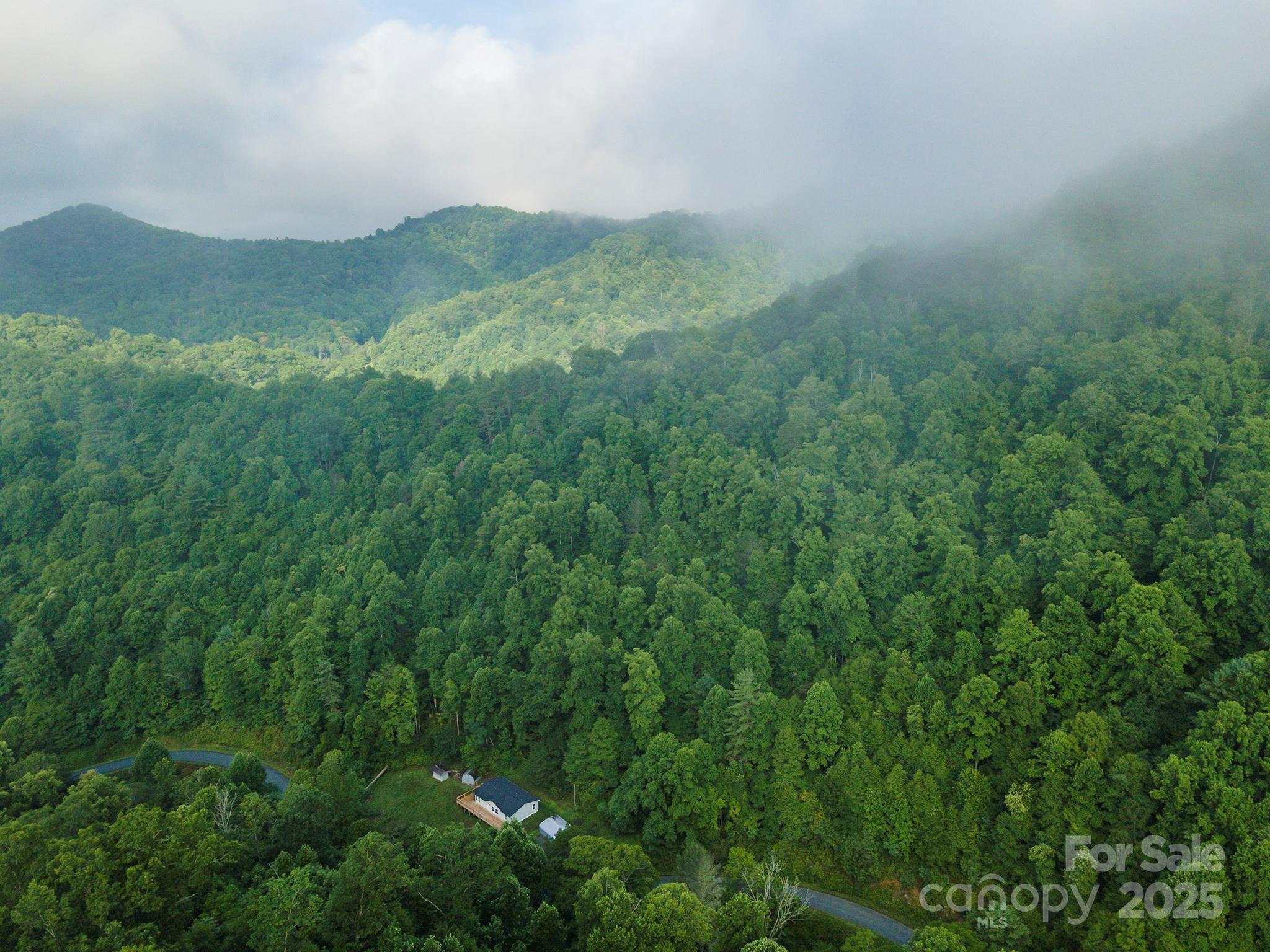 99999 Renfro Road Green Mountain NC 28740