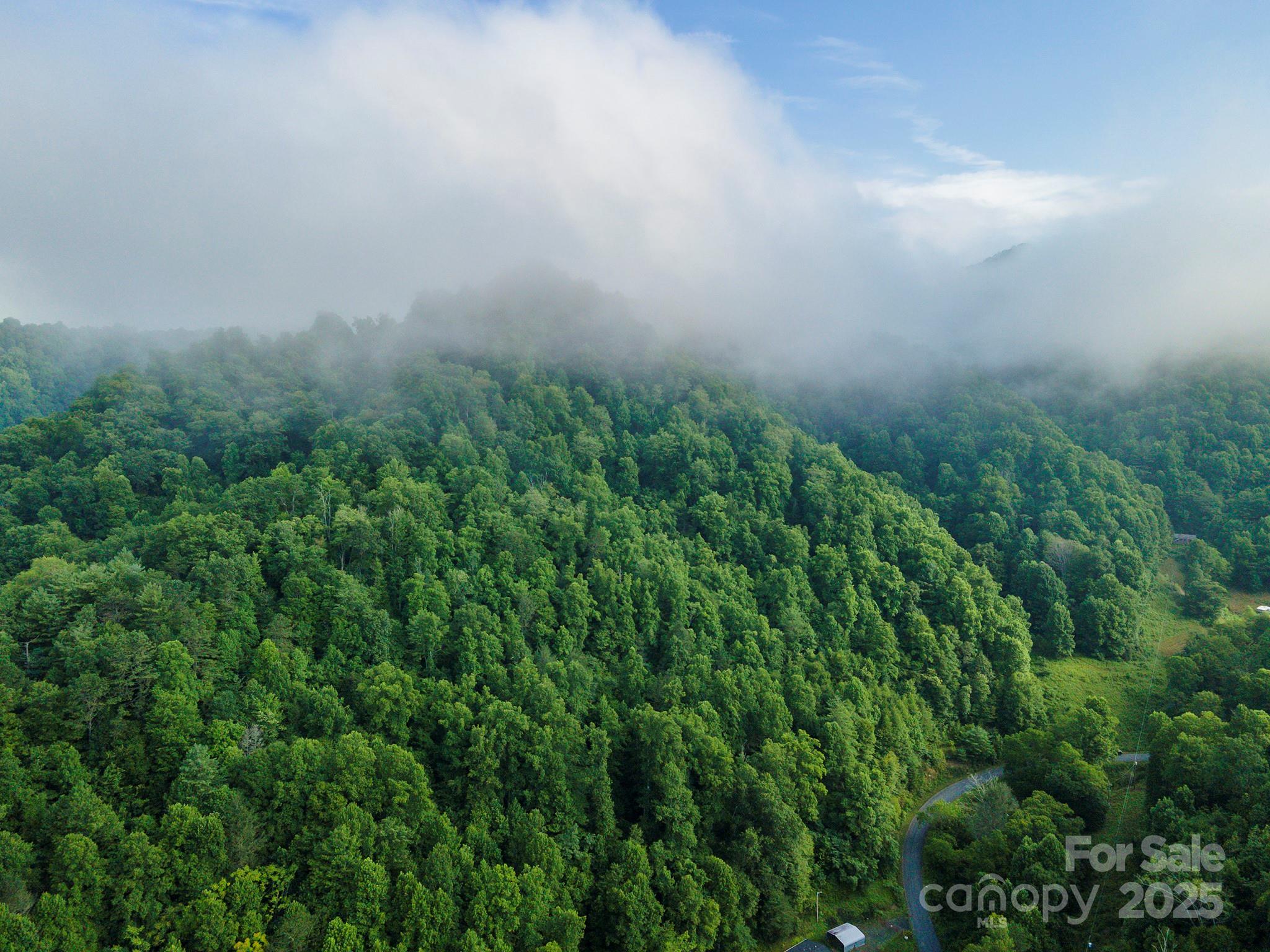 99999 Renfro Road Green Mountain NC 28740