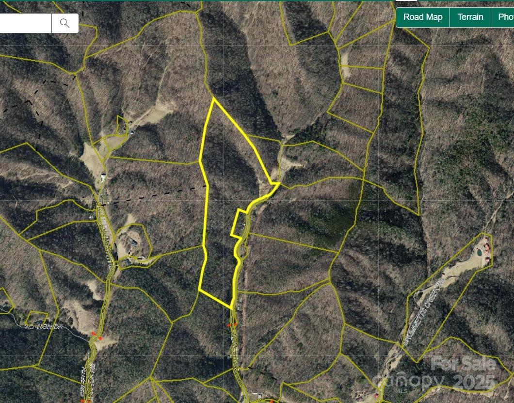 99999 Renfro Road Green Mountain NC 28740