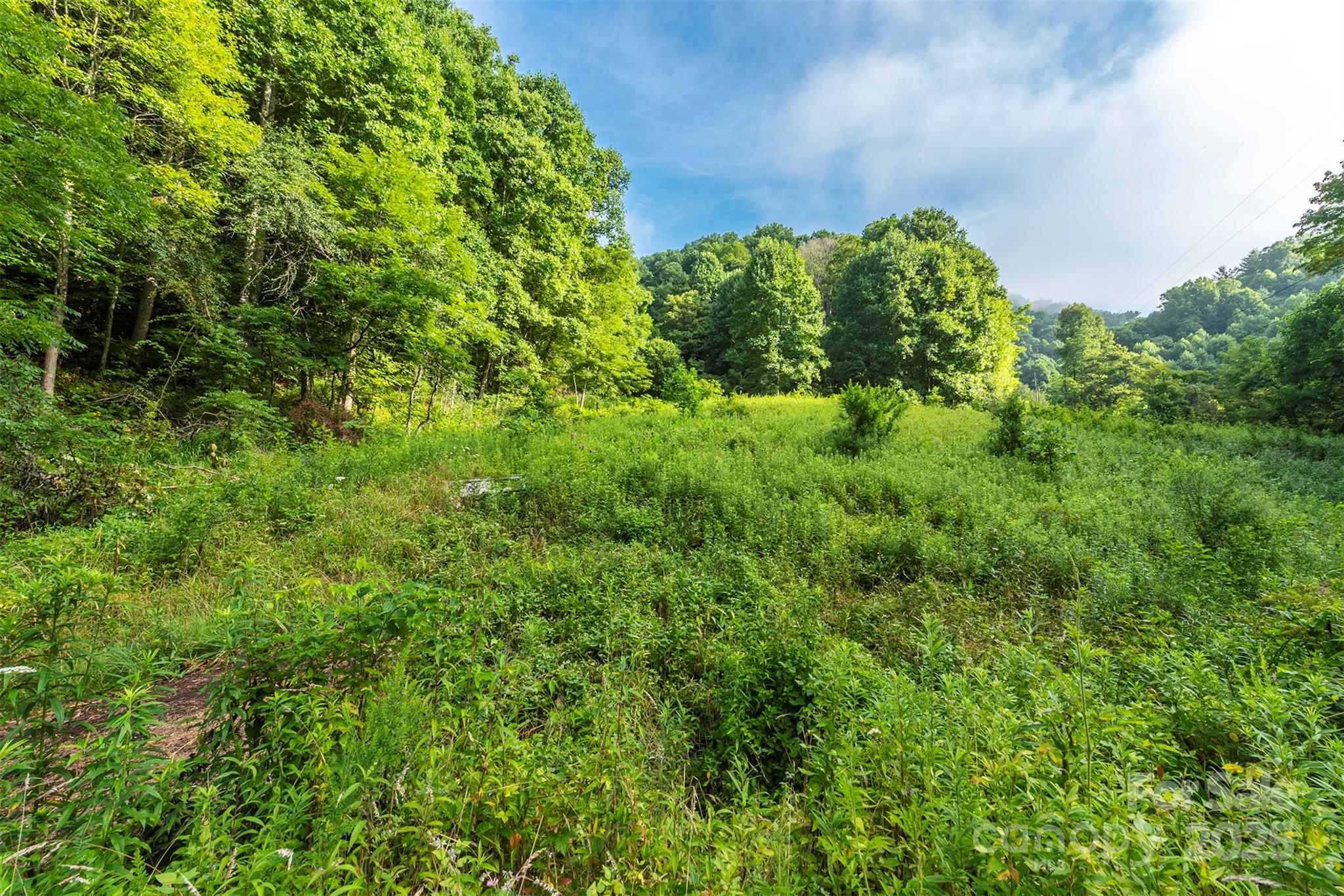 99999 Renfro Road Green Mountain NC 28740