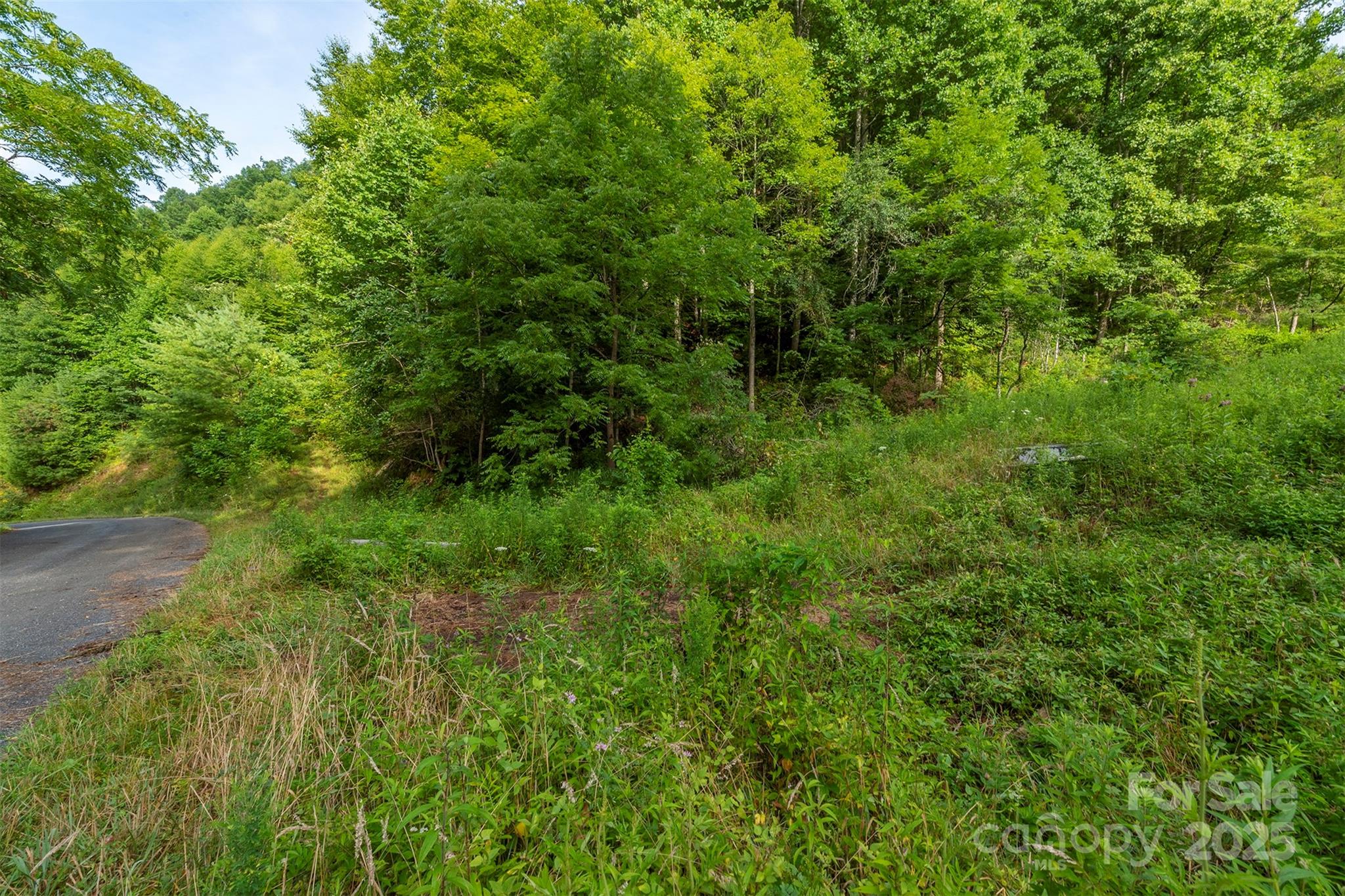 99999 Renfro Road Green Mountain NC 28740