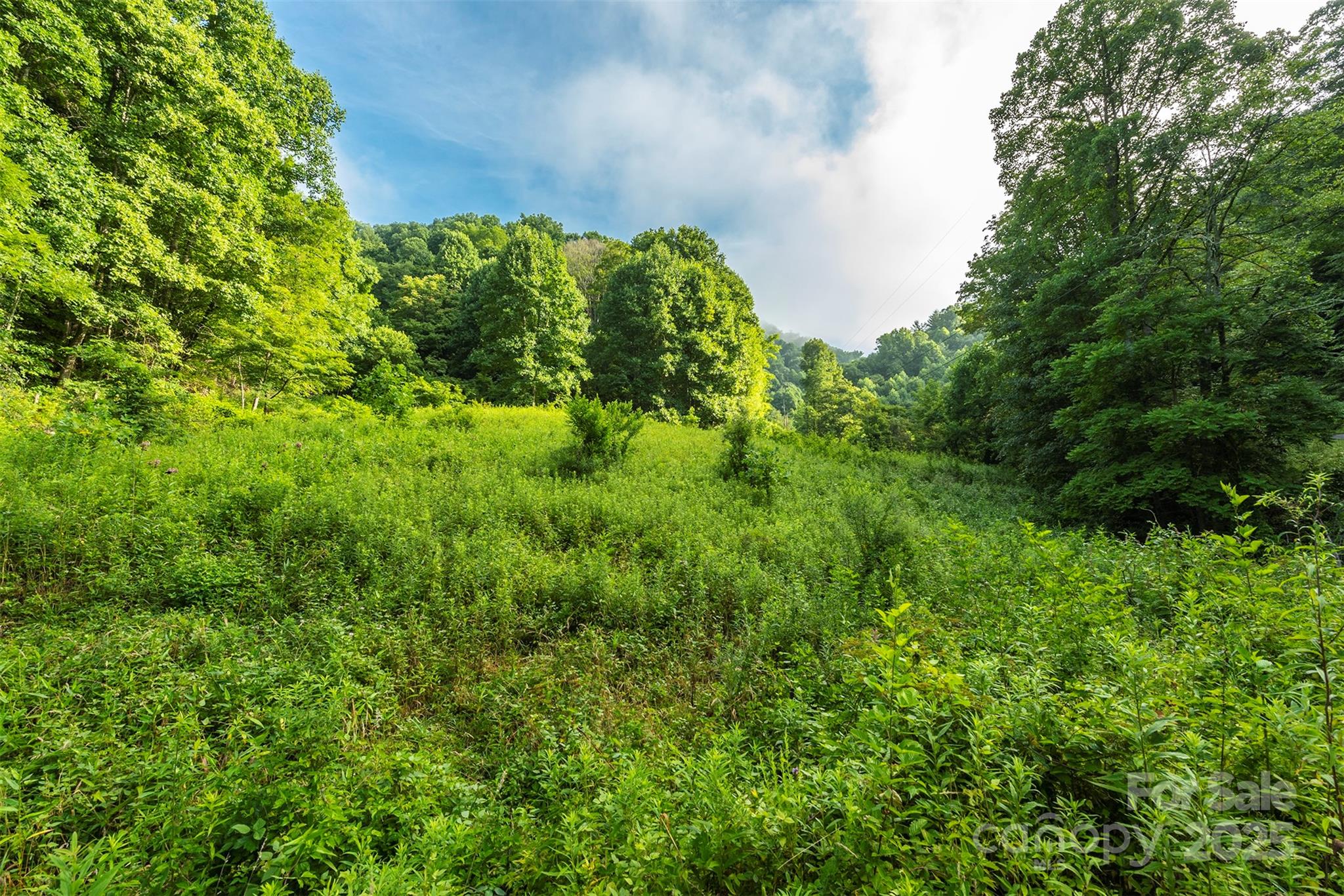 99999 Renfro Road Green Mountain NC 28740