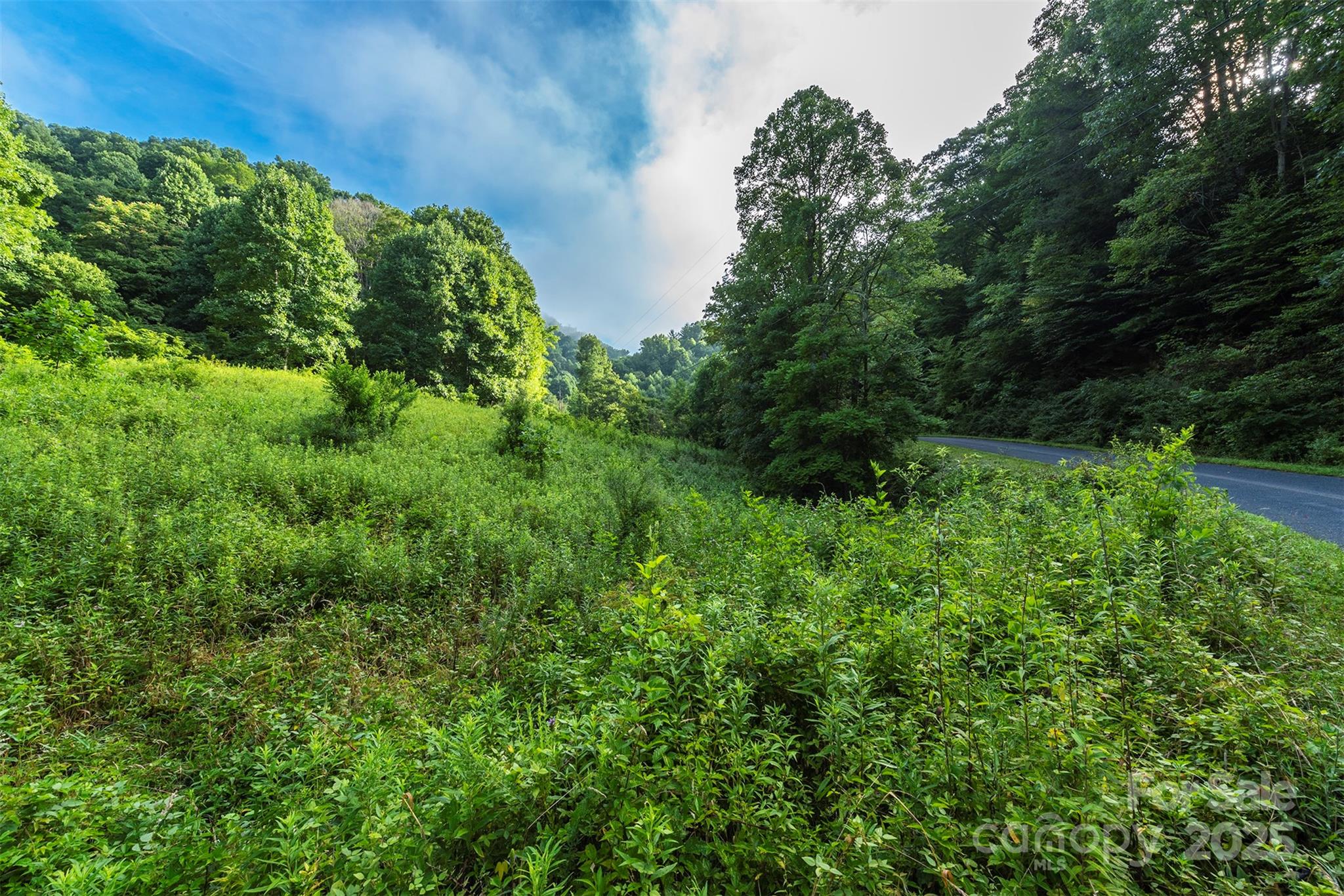 99999 Renfro Road Green Mountain NC 28740