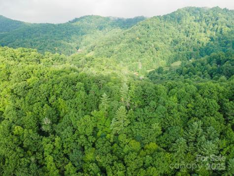 99999 Renfro Road Green Mountain NC 28740