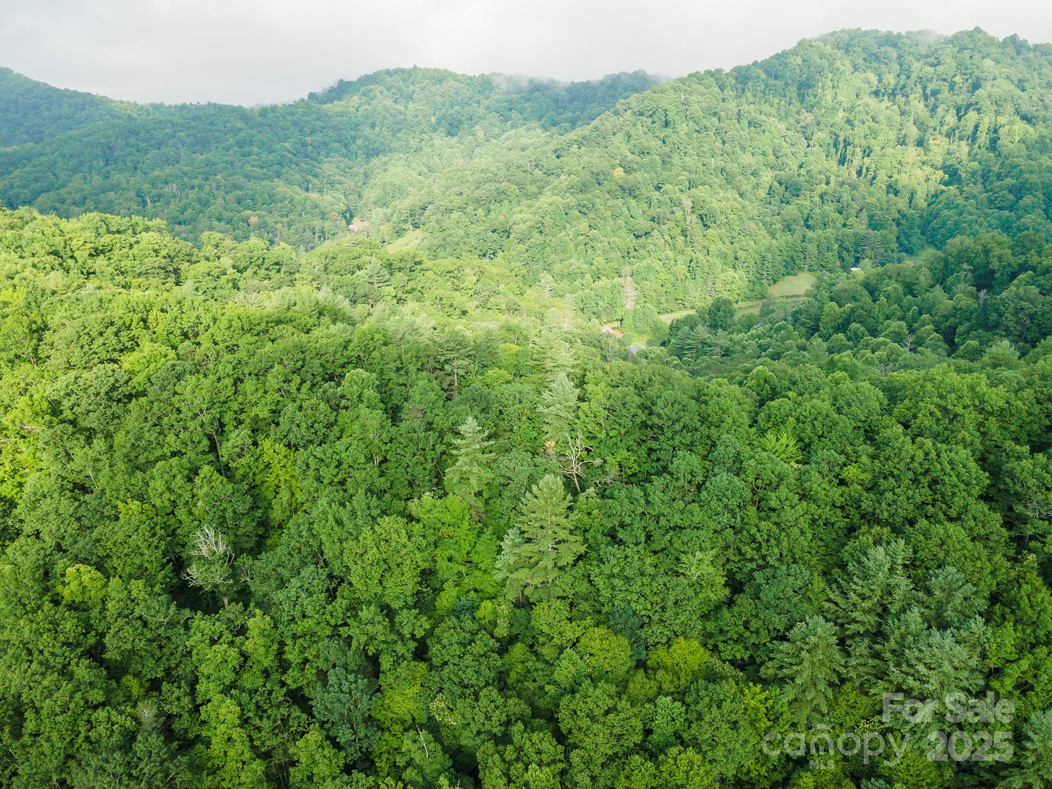 99999 Renfro Road Green Mountain NC 28740