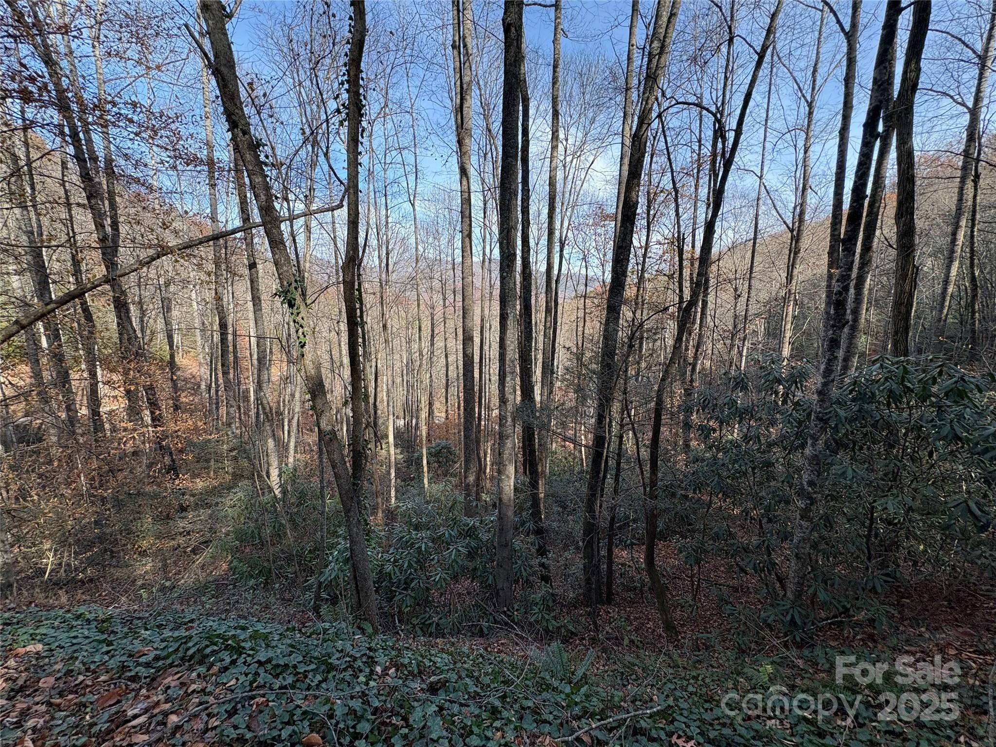 Trail 6 Little Bit Trail Whittier NC 28789