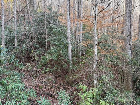 Trail 6 Little Bit Trail Whittier NC 28789