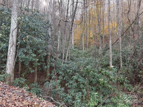 Trail 6 Little Bit Trail Whittier NC 28789