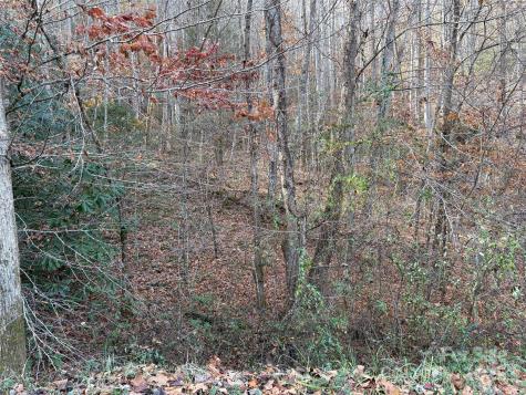 Trail 6 Little Bit Trail Whittier NC 28789