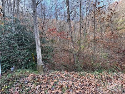 Trail 6 Little Bit Trail Whittier NC 28789