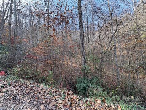 Trail 6 Little Bit Trail Whittier NC 28789