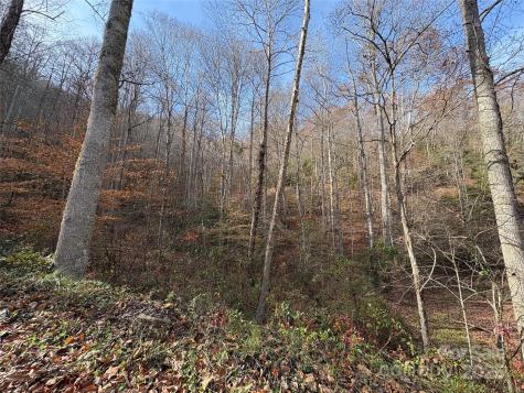 Trail 6 Little Bit Trail Whittier NC 28789