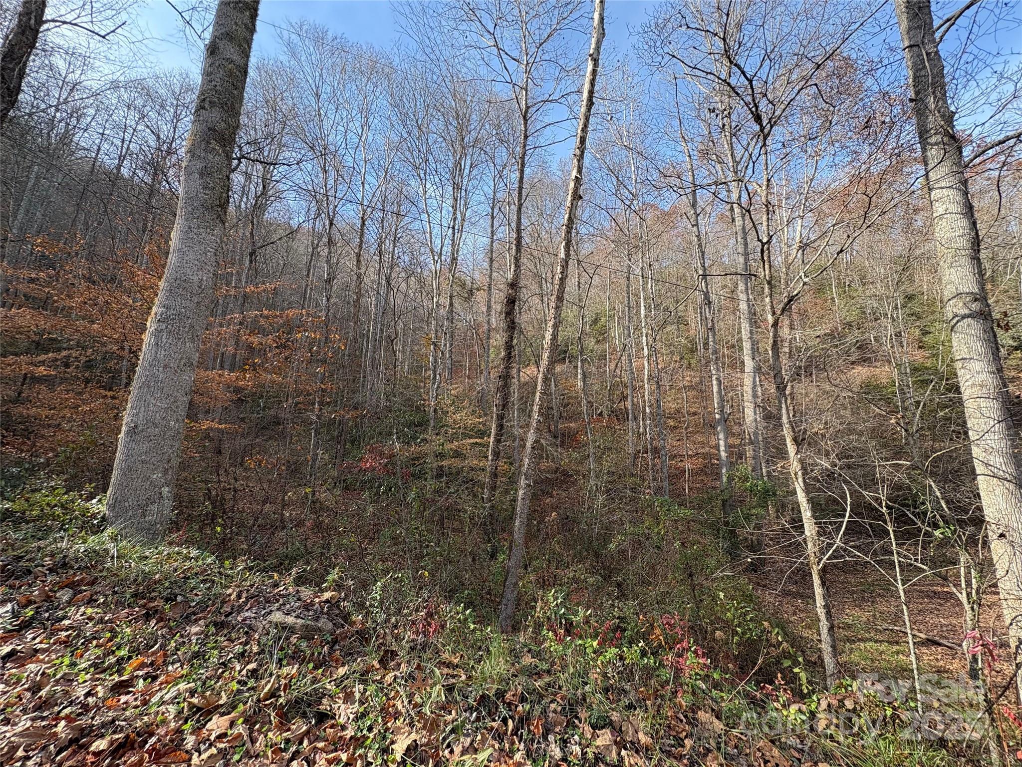 Trail 6 Little Bit Trail Whittier NC 28789